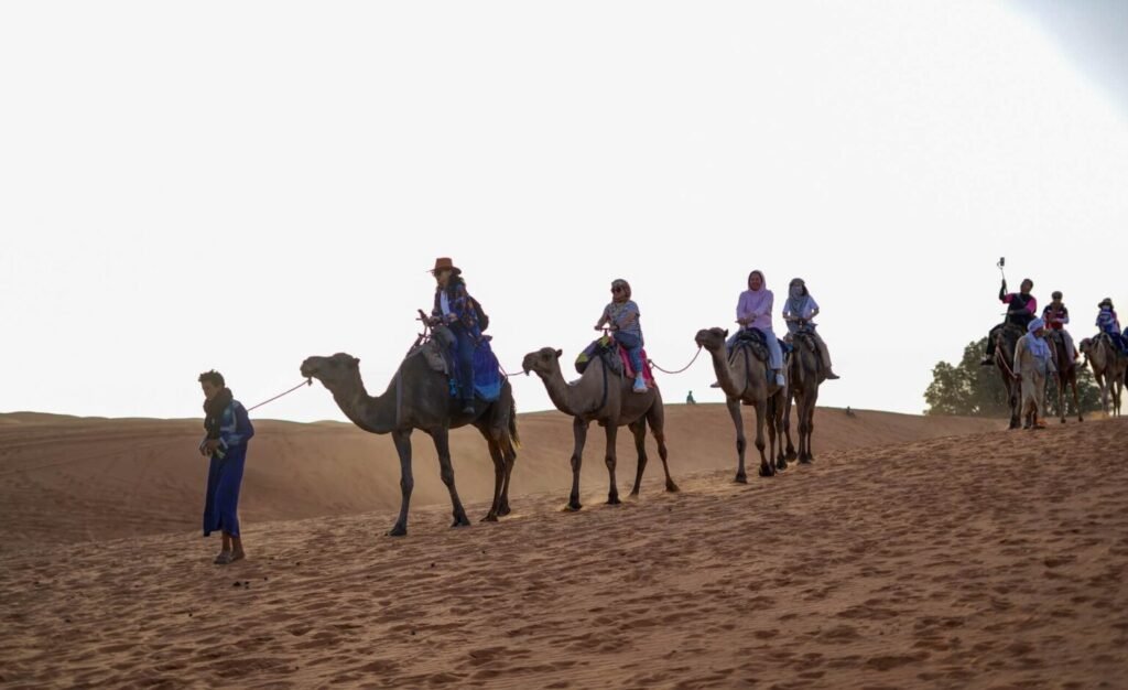 Merzouga: Beauty of Camels and Sand Dunes That Offer Healing to Visitors